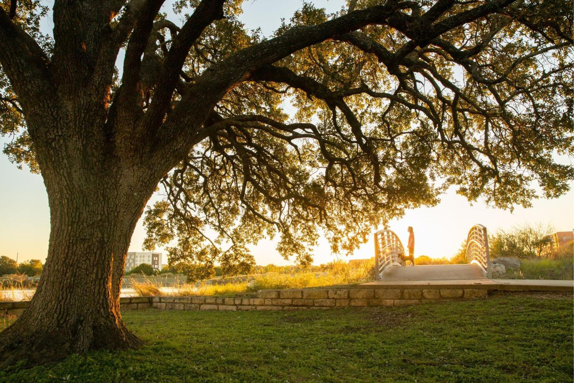 Springhill Suites By Marriott Austin Cedar Park Esterno foto